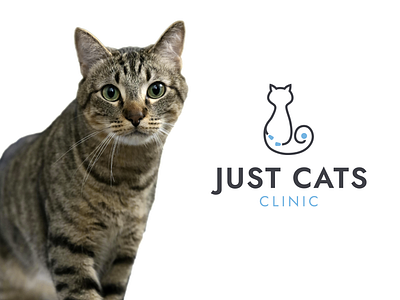 Just Cats Clinic | Logo and Branding blue boarding brand design branding business card care cat clinic color palette feline graphic design health logo medical pet social media stethoscope sub brand vet veterinarian