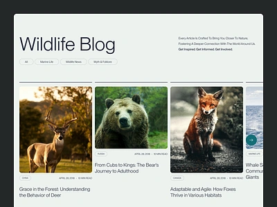 Wildlife Blog Section animals articles blog blog page blog post blog section design landing page minimal minimalism nature resources section ui ux web web design website website design wildlife