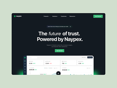 Website Design for Naypex