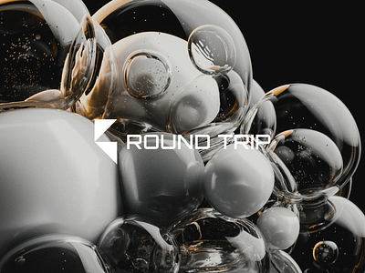 Round Trip branding design graphic design logo