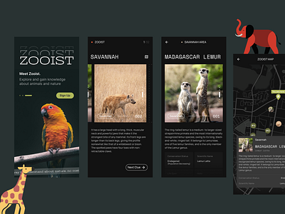 Zooist: A Fun Wildlife Exploration 🫎 animal appdesign dark darkmode darktheme designchallenge exploration explore fun minimalistic mobiledesign ui uiux ux wildlife wildlifeapp zoo