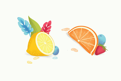 Fruit Illustration design fruit illustration