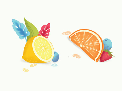 Fruit Illustration design fruit illustration