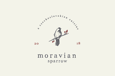 Moravian Sparrow Logo bird branding czech illustration logo resturant