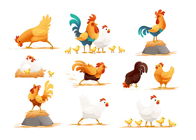 Rooster and hen character design adobe illustrator animal illustration book illustration cartoon character character design chicken children book concept cute character farm animal hen mascot rooster vector graphic