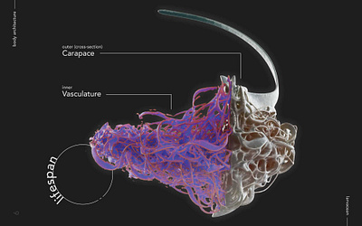 Larvacean Mask