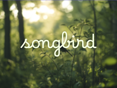 Songbird Logo brand branding cursive handwriting handwritten identity logo mark type typography wordmark