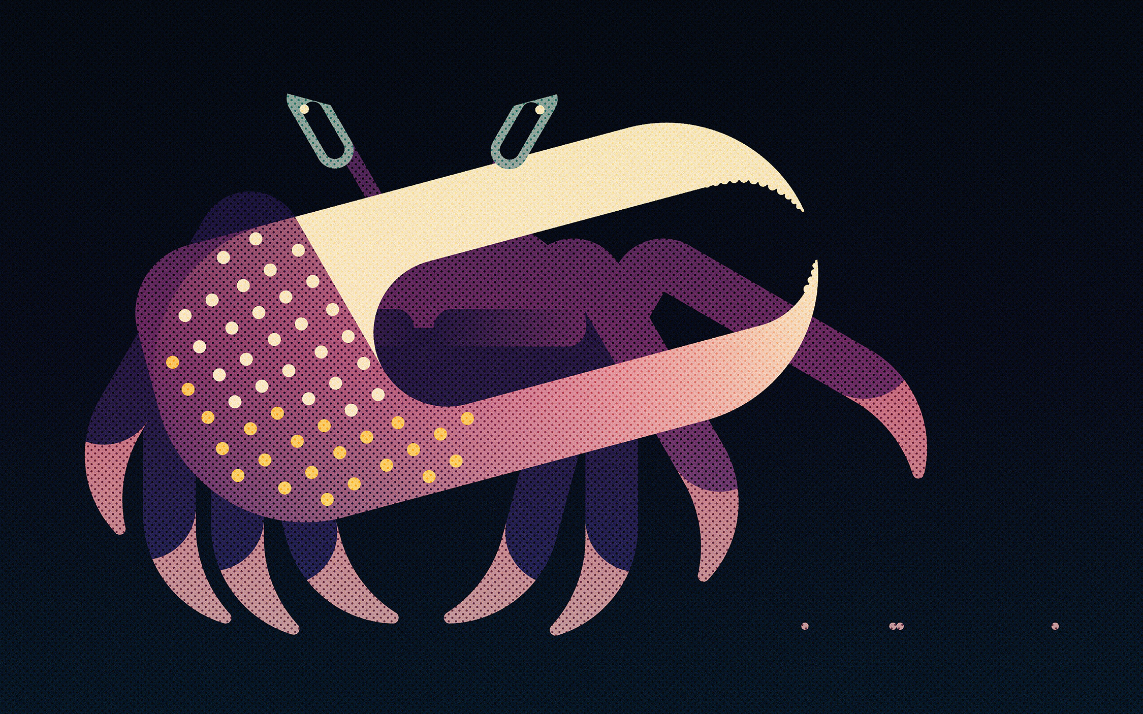 Afruca Tangeri (2024) crab crabs design illustration minimal illustration nature vector wildlife