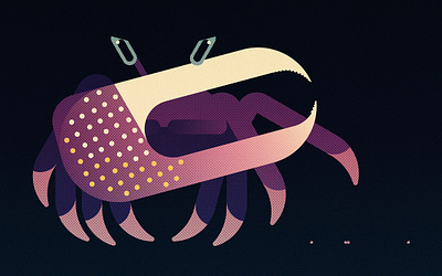 Afruca Tangeri (2024) crab crabs design illustration minimal illustration nature vector wildlife