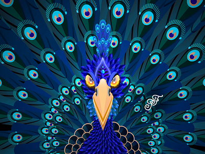 Fortunes Of Treasures - ( "Zephyr" ) ( Pulchritudinous Deck ) adobe animation bird branding cartoon character character design feathers fortune illustration motion motion graphics parallax pattern peacock tarrot toon treasure vector video