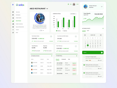 Solo Business dashBoard branding design graphic design typography ui ux website design