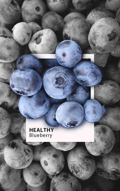 Blueberry blueberry design graphic design healthy illustration summervibe