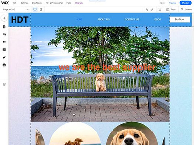 A Dogs website free freewebsite web website wordpress