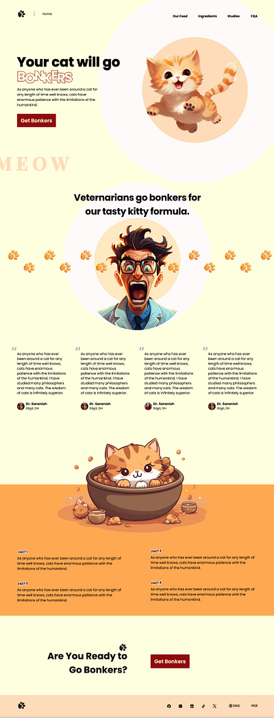 Get Bonkers - The Ultimate Cat Experience animation branding figma graphic design ico illustration ui ux vector