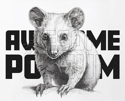 The Awesome Possum art design graphic design illustration typography vector