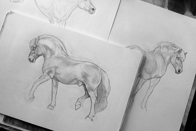 Horse Drawings art drawing horses peculiar