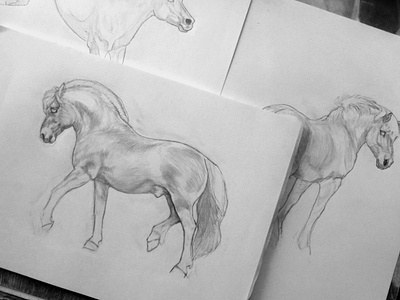 Horse Drawings art drawing horses peculiar