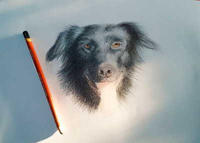 my love amor arte artista derwent dibujar dibujo ilustracion lapiz mascota perro retrato