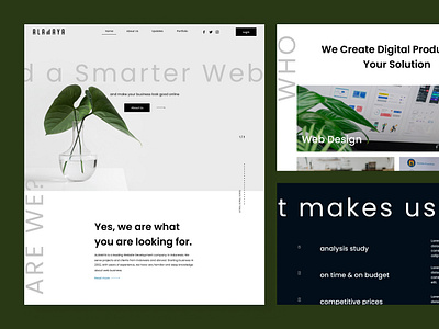 Alamaya Design alamaya aminata aminata yazda green color landing page nature smart smart website ui ux web design web development website website simple yazda
