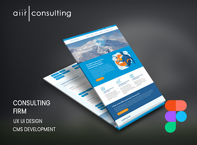 UX UI Design & CMS Development. ui ui design ux ux design web design web development