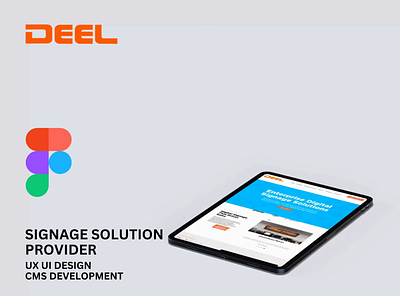 UX UI Design and CMS Development ui ui design ux ux design web design web development