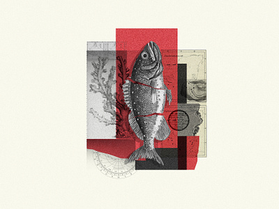 Fish Collage abstract collage fish illustration nature