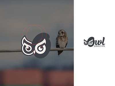 Owl Logo Design branding design graphic design icon illustration logo logo design logotype vector