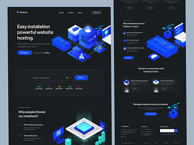 Hosting website Design domain home page hosting hosting web hosting website hosting website design illustration landing page landingpage product design ui user interface ux visual design web design