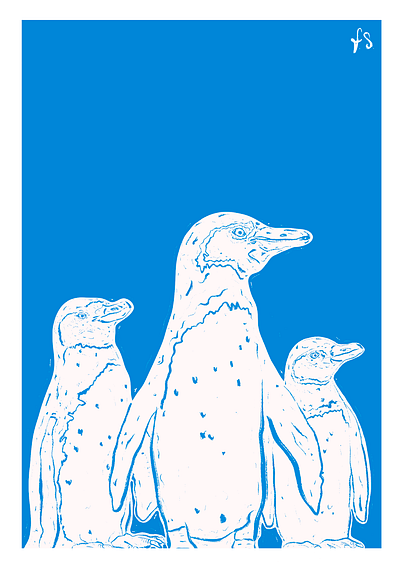 Penguins illustration