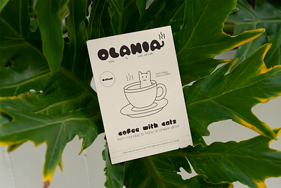 Bold & Unique Card Design for Olania Cafe card design editorial design graphic design layout design typography