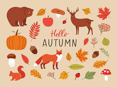 Hello Autumn greeting card animal art autumn bear deer design draw fall fox graphic design greeting card illustration ipad mushroom nature squirrel