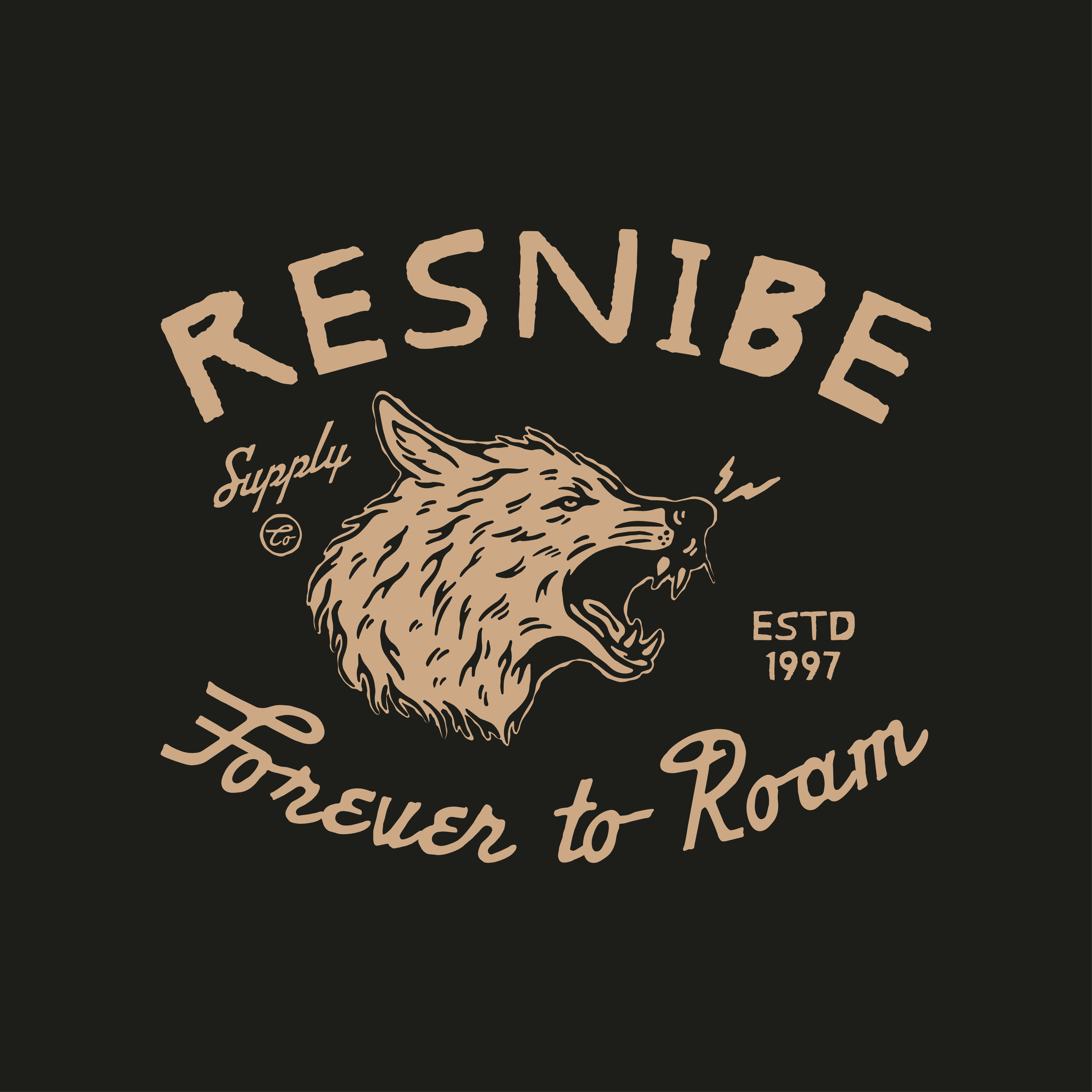 Example of Merchandise Design