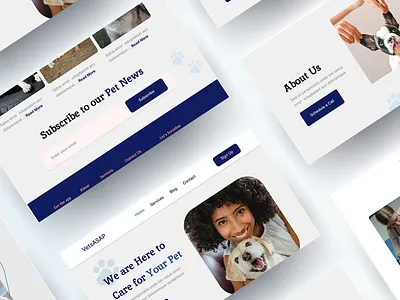 Vets ASAP design landing page ui