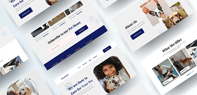 Vets ASAP design landing page ui