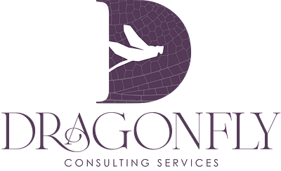 Dragonfly Consulting Services Branding art direction branding graphic design illustration logo typography