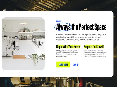 Syzl Brand and Website