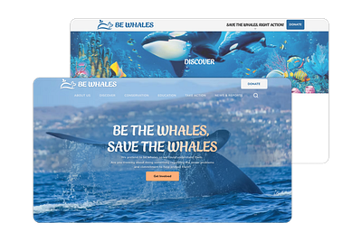 Be Whales UX design design development social good ui ui design ux ux design website website design