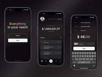 Finance mobile app app bank concept design finance financial graphic design ios iphone mobile ui ux uxui