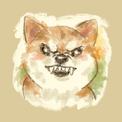 Threatening Shiba Inu animal character dog illustration pet puppy shiba inu