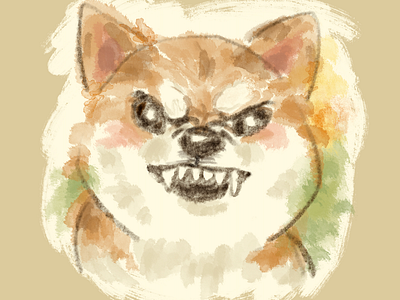 Threatening Shiba Inu animal character dog illustration pet puppy shiba inu