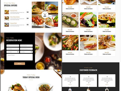 Fast food delivery website branding ecommerce webdesigb wordpress