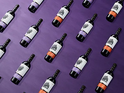 Shabo «Wine Stories»