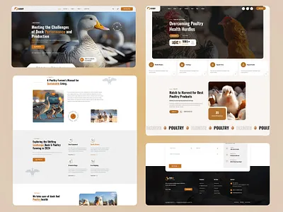 Poultry Farm & The Duck Organic Website Template branding business company custom website custom wordpress design dreamit duck duck website graphic design illustration logo new design new website poultry poultry website template theme ui wordpress