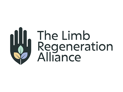 Logo Design For The Limb Regeneration Alliance branding design graphic design illustration logo typography