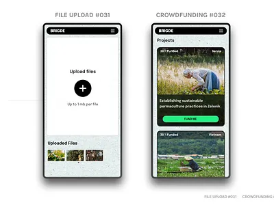 FILE UPLOAD #031 CROWDFUNDING #032 branding dailyui ui
