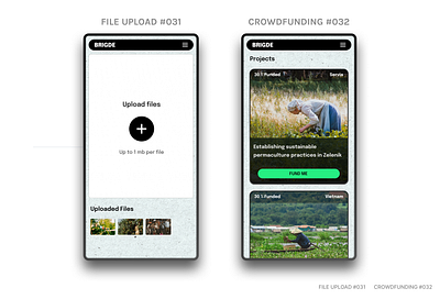 FILE UPLOAD #031 CROWDFUNDING #032 branding dailyui ui