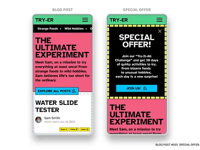 BLOG POST #035 SPECIAL OFFER #036 branding dailyui ui