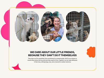 Animal shelter website animals bright design ui volunteer website