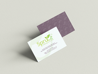 Spruce Cleaning Brand & Icon branding business business card cleaning design icon illustrator logo