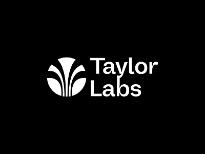 Taylor Labs app brand branding company design graphic design hightech illustration illustrator lab logo minimal tech vector